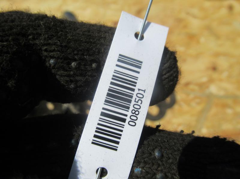 Фото 4