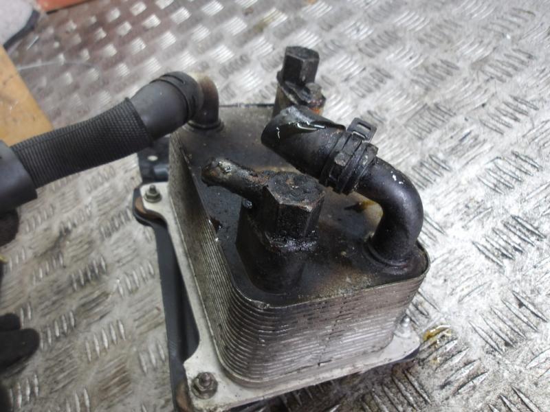 Фото 2